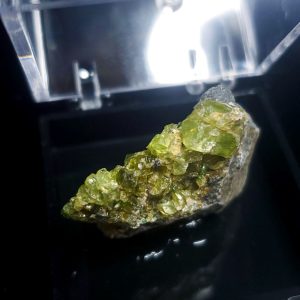 Perky box specimen E