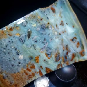 Special Specimen Rock P