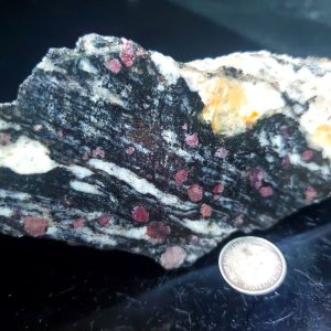 Garnet Specimen J