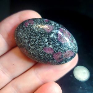 Garnet in host cabochon C