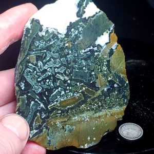 Dallasite - Specimen Rock W