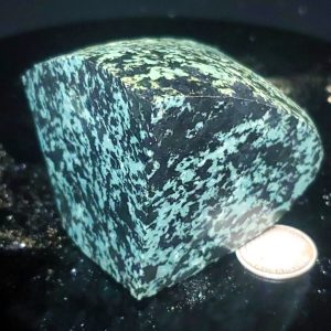 BC Fraser Turquoise Specimen A