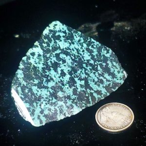BC Fraser Turquoise Specimen B