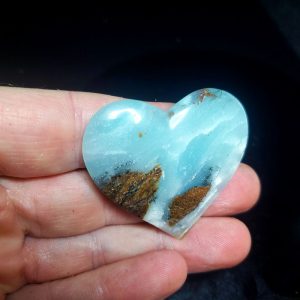 Ocean picture stone Heart Palm Stone E