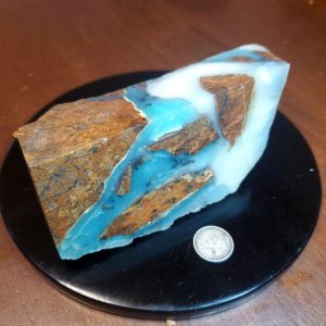 Dayna Blue Specimen R