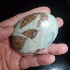 Ocean picture stone Palm stone B