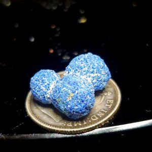 Joined blueberries 5ct