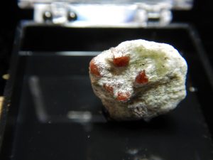 Garnet perky box specimen B