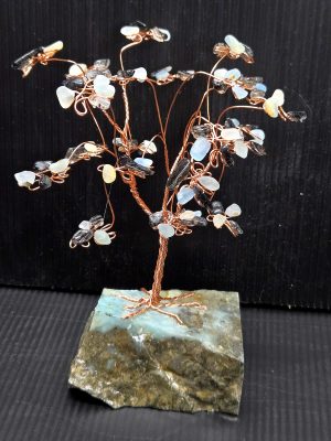 Ocean Picture Stone Tree DH67