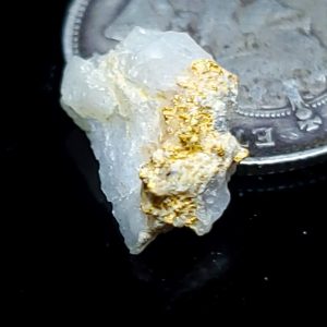 Gold in host .42 grams