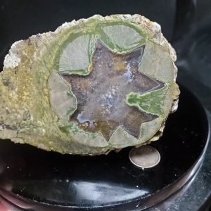 Thunder Egg - specimen B