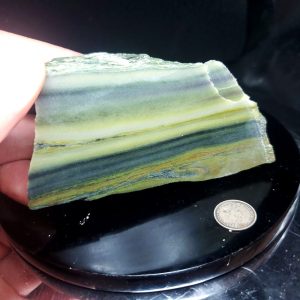 Forest Elfinstone Specimen P