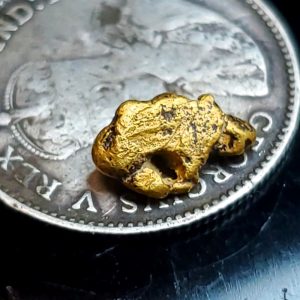 Gold nugget .3grams