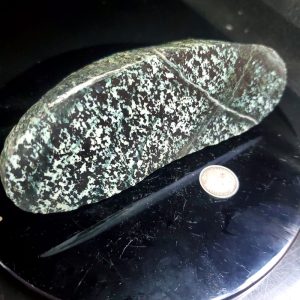 BC Fraser Turquoise Specimen C