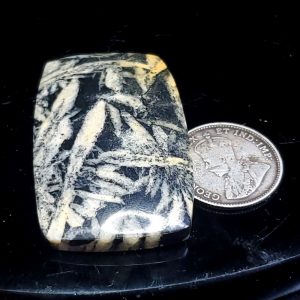 Pinolite cab 1.25" long
