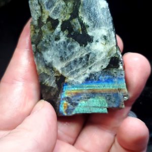 Labradorite slab 2.75" long