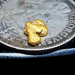 Gold flake .14 grams