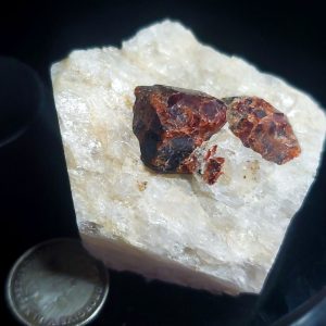 Garnet specimen Z