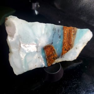 Dayna Blue Specimen H