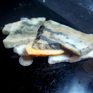 Mt Baker Lightning Quartz B-no visible gold 7 oz