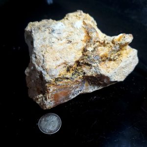 Petrified wood 10 oz