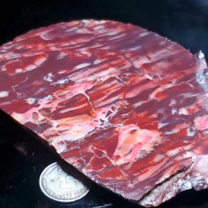 lapidary slab 3.5" long
