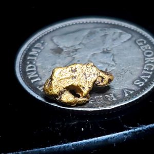 Gold nugget .3 g