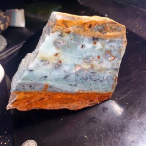 Special Specimen Rock P