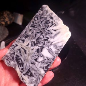 Pinolite slab E