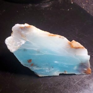 Dayna Blue Specimen Z