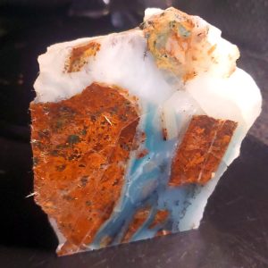 Dayna Blue Specimen J