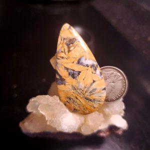 Pinolite cab 1.5" long