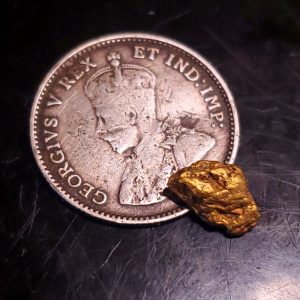 Gold nugget .35g