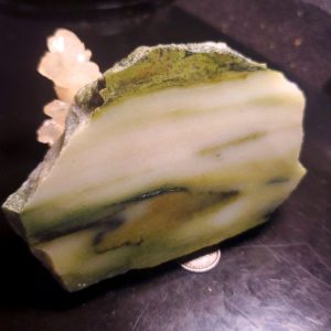 Forest Elfinstone Specimen H