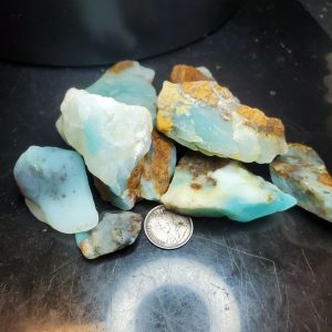 Dayna Blue Chip Lot A