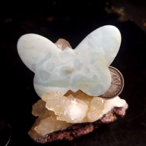 Ocean picture stone butterfly 1.5" across