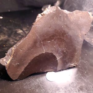 Black lapidary slab 4" across