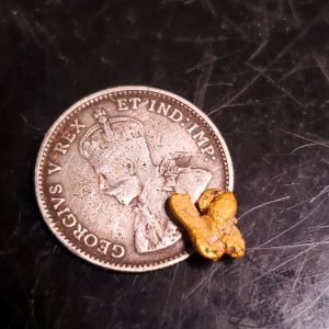 Gold nugget .27g