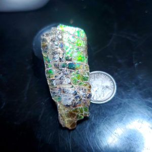 Ammolite Specimen - Small B