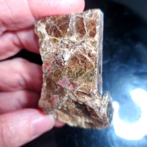 Ammolite Specimen - Small E
