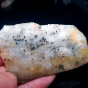 Golden Griffin Slab A