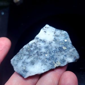 Golden Griffin Slab C