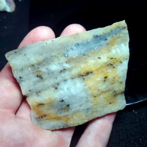 Golden Griffin Slab D