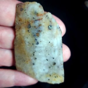 Golden Griffin Slab F