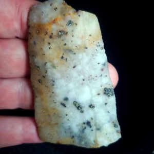 Golden Griffin Slab G