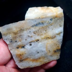 Golden Griffin Slab H
