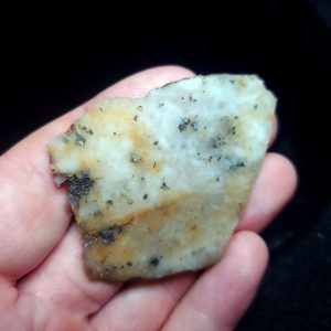 Golden Griffin Slab I