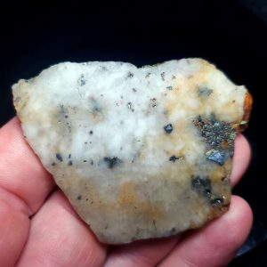 Golden Griffin Slab L