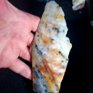 Golden Griffin Slab M