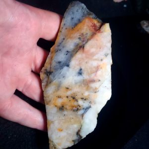 Golden Griffin Slab O